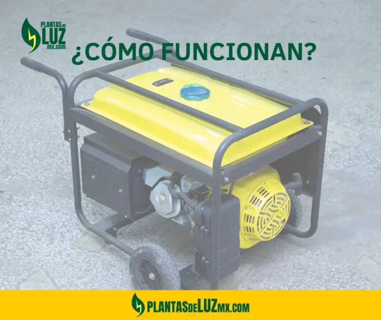 Mejores Plantas de Luz para Casa