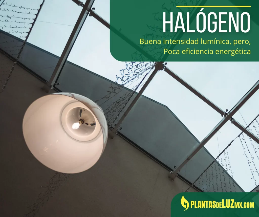 Tipo de luces Halógeno para naves industriales
